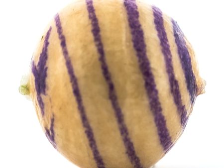 20MM Purple Stripe Papermache Bead (12 pieces) Online now