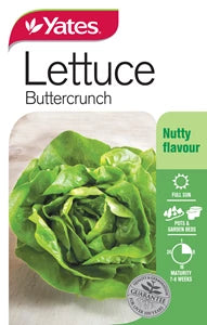 Yates Lettuce Buttercrunch Seeds Fashion