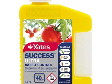 Yates Success Ultra Fashion