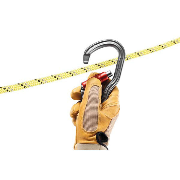 Petzl Vertigo Carabiner, Twist-Lock Cheap