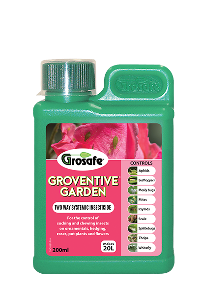 Groventive 200ml Online Sale