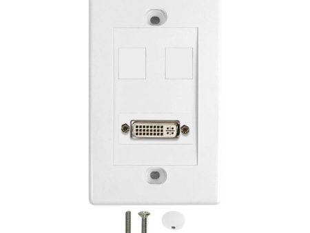 1-Port DVI Wall Plate Kit - White Online