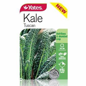 Yates Kale Tuscan Seeds Cheap